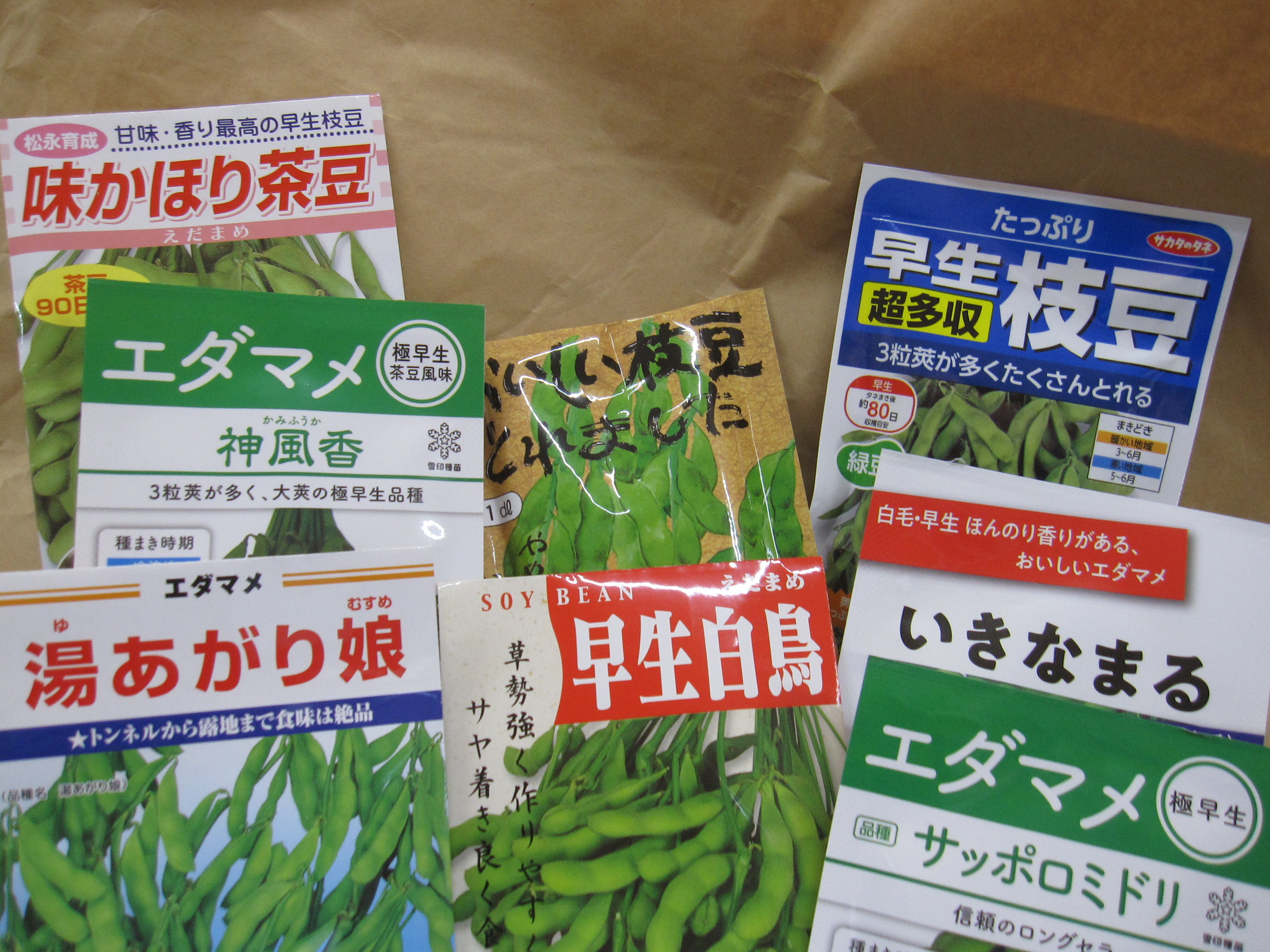 種が入荷しました😊 エダマメ続々と入荷中✨