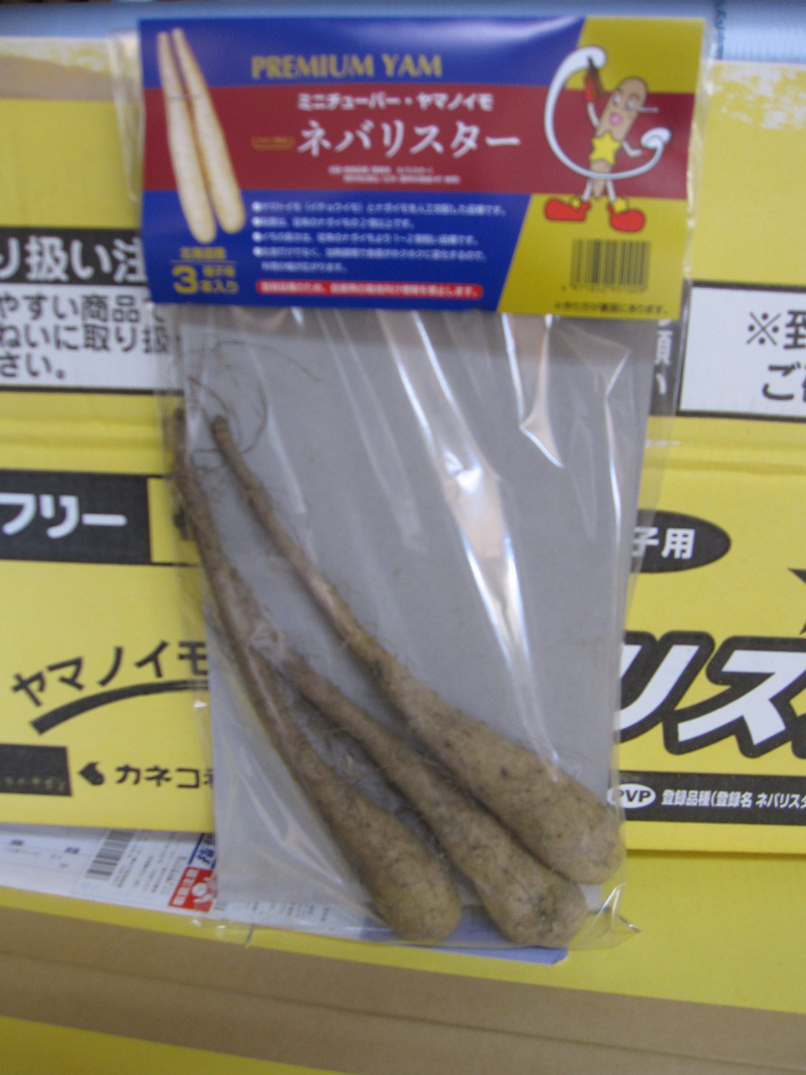 種が入荷しました😊 【ネバリスター】 カネコ種苗さんのヤマノイモです 粘土が従来の2倍以上‼ 生食だけでなく📢加熱でホクホク✨✨