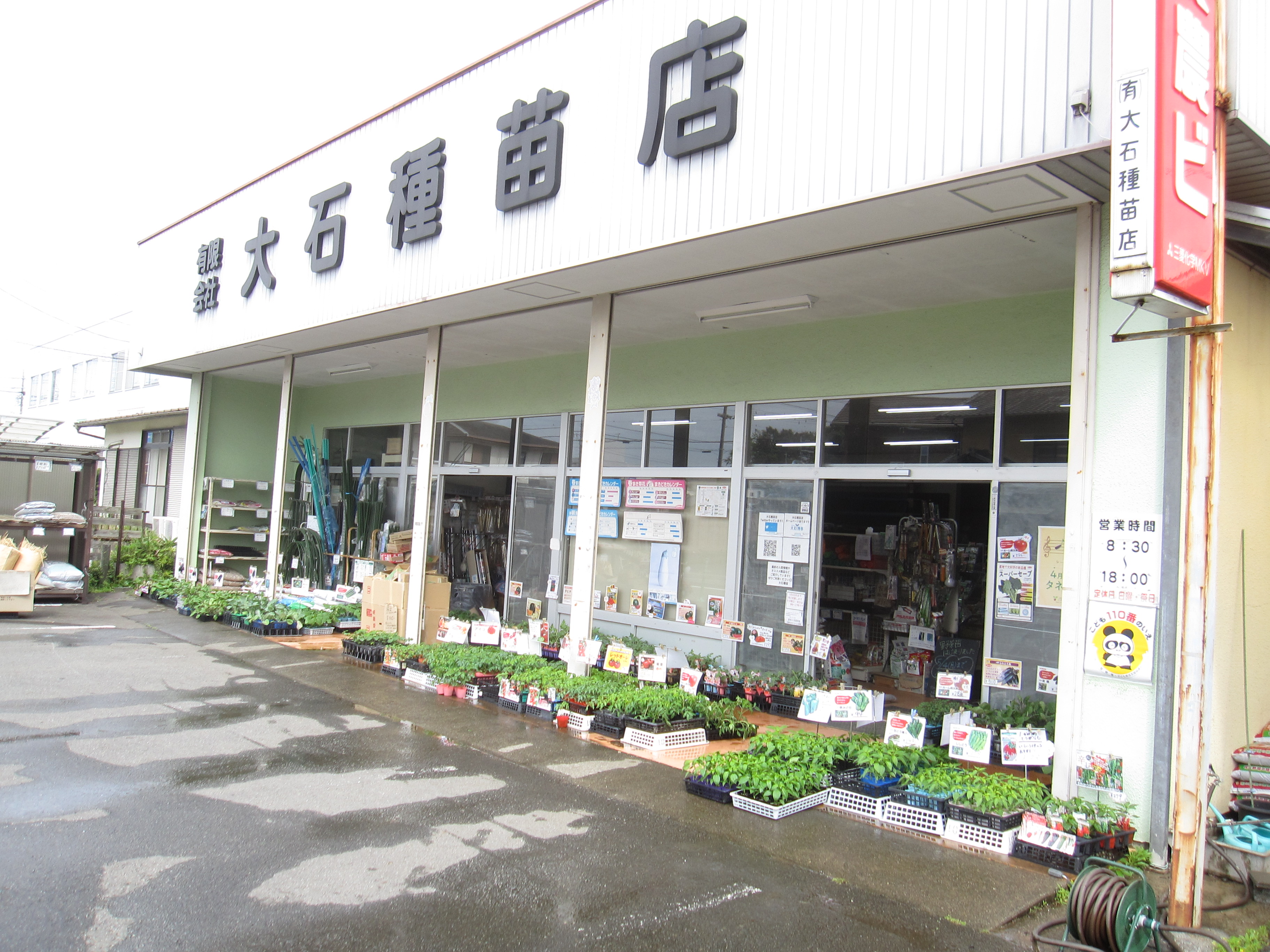 ※5/4まで毎日営業✨ 【すいか14品種】【なす8品種】【とまと10品種】 【ピーマン・唐辛子8品種】【かぼちゃ3品種】 【ゴーヤ3品種】【きゅうり2品種】まくわ・枝豆など 販売中です😊